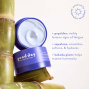 A jar of Good Day facial treatment cream shown open with cream visible, styled on bamboo stalks against a light background with product benefits text and a 'powered by molecular sunshine' badge.