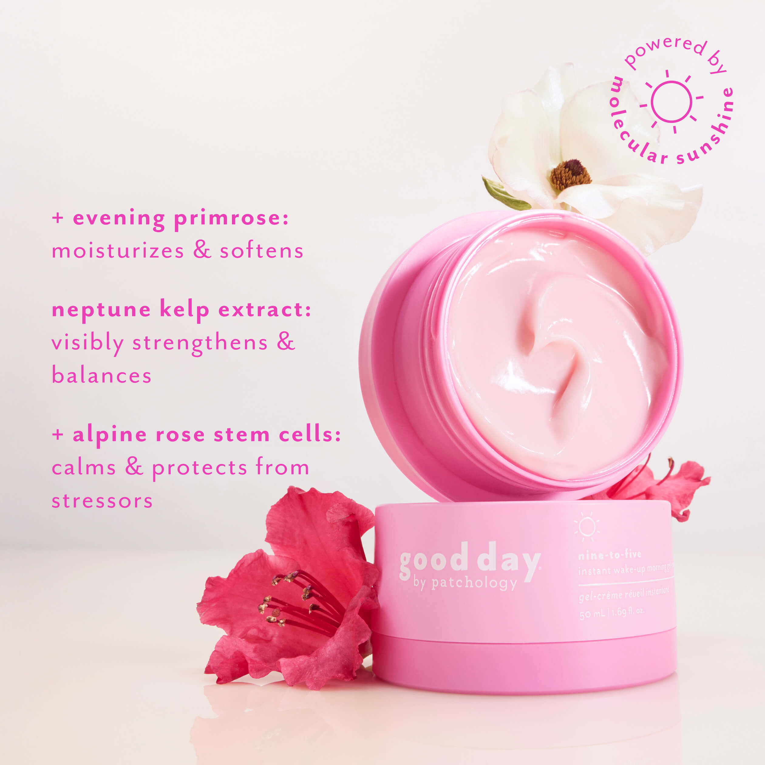 A pink cosmetic jar of Good Day ingredients evening primrose cream shown open with cream visible, alongside a matching pink lid and decorative flowers on a clean white background. Pink text on the left lists ingredients and benefits, and a circular badge says it is powered by molecular sunshine.